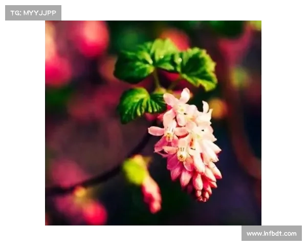 孔德伤势分析及三大可能后果对比赛和职业生涯的深远影响